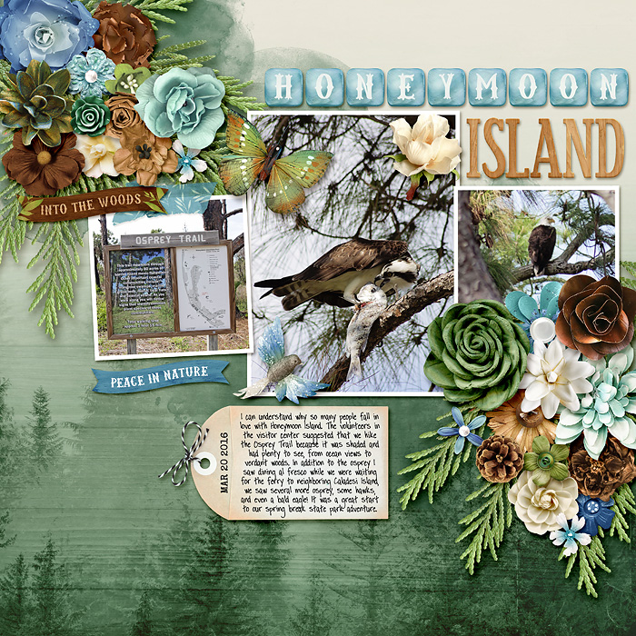 FDD-All-Fir-You-KCB-A-Nature-s-Tale-bundle-copy.jpg