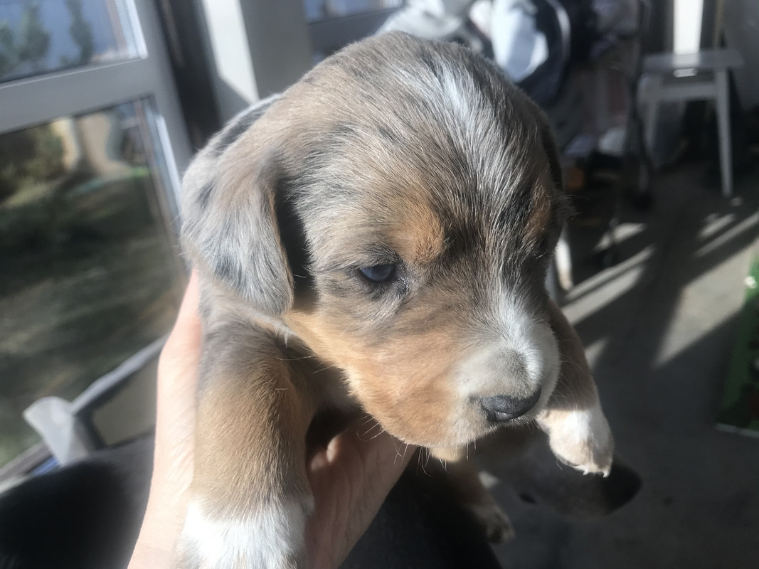 D1CCC12C-24D3-4A88-B991-5FB3046DCA21