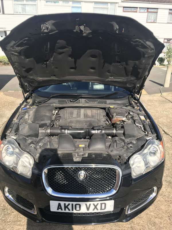 A55973D8-D542-4230-A912-5BE5DEB70AB7