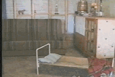 https://i.postimg.cc/KvJCGj9s/dog-bed.gif