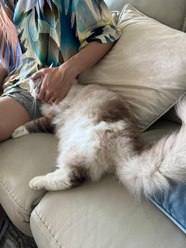 oAAAAX3VUCnIfCcA3ADd1E1xDF19EVFgA4fASb~tplv-dy-aweme-images-v2_3000_3000_q75