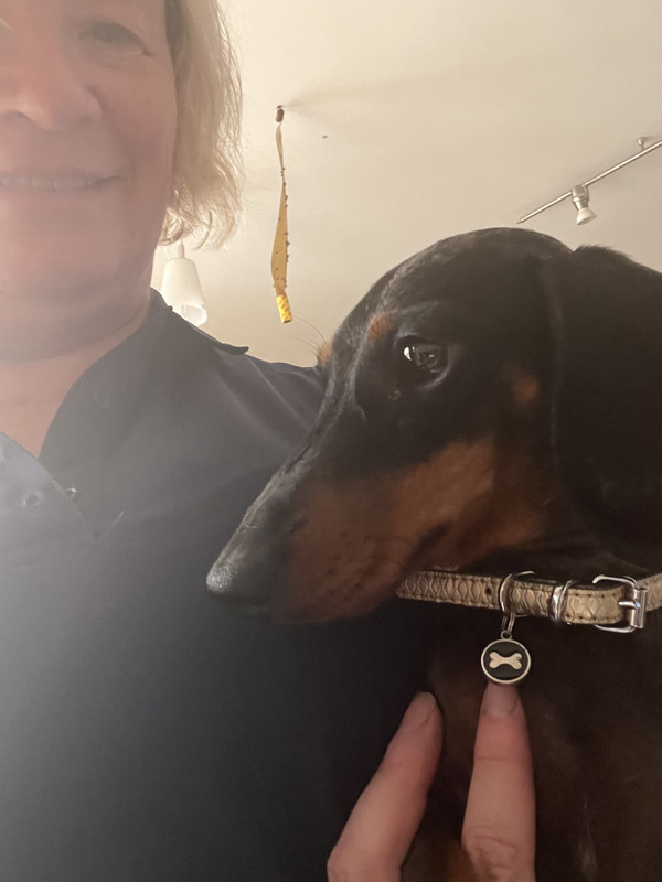 [Image: E8931-D74-24-E1-47-D7-AC5-F-8-D1-FED43-F2-A4.jpg]