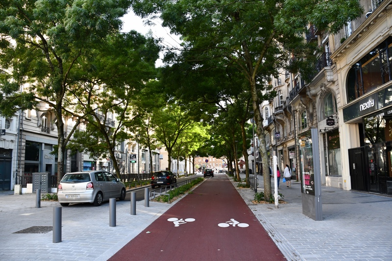 https://i.postimg.cc/KvJZ1Yb3/DSC-2303.jpg