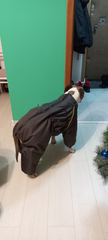 10054762-49AE-4708-B472-4AAA8A281B5A