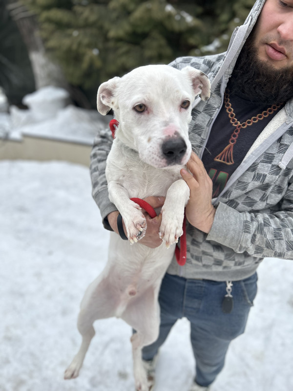 5CCFF706-3A0F-4770-8503-205D5F229DA3