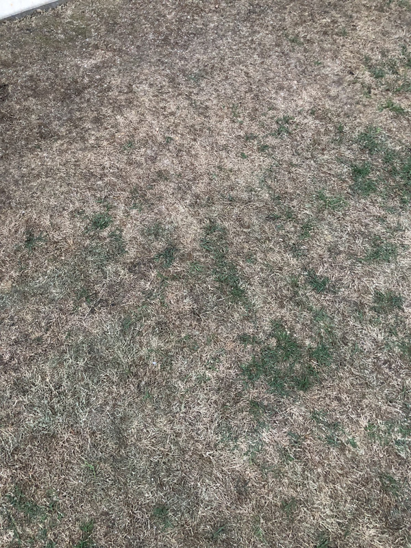 011C39FA-359D-4443-A45A-CB657EA824E3