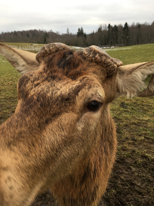 CF713693-DF24-42DB-8C27-4804F9439A9B