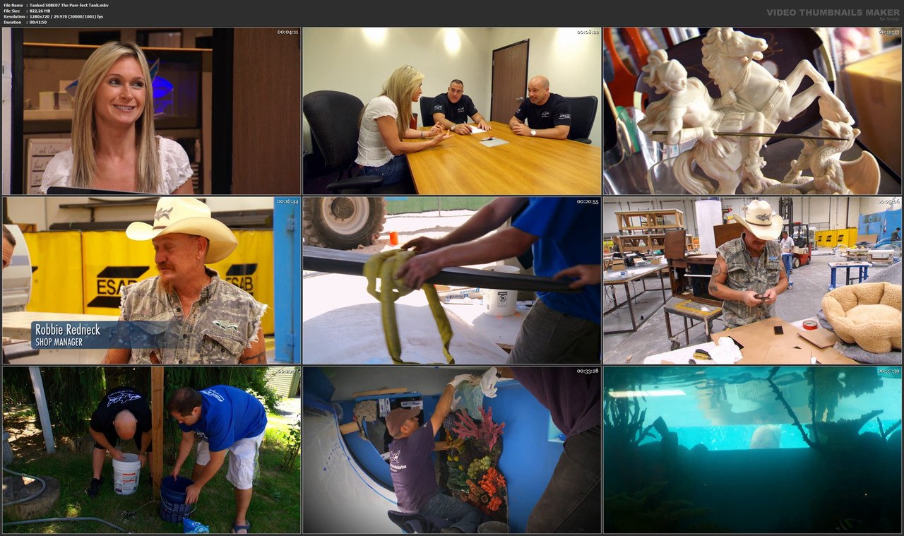 Tanked S08E07 The Purr-fect Tank.mkv