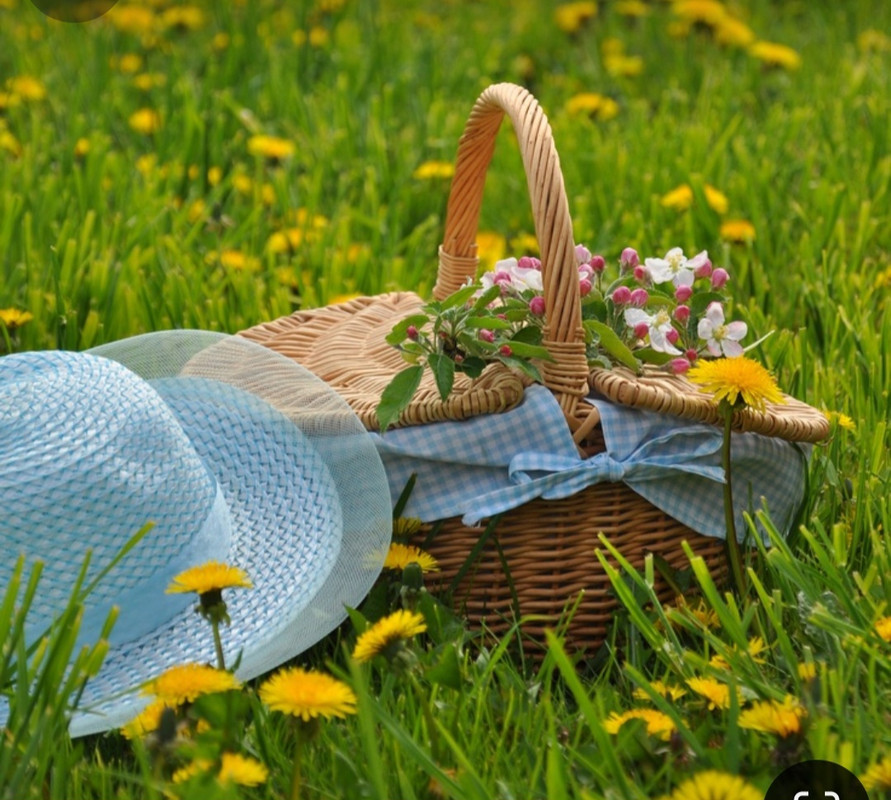 Screenshot_20240604_154600_Pinterest