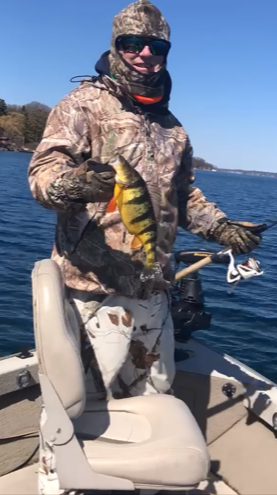 Perch 5