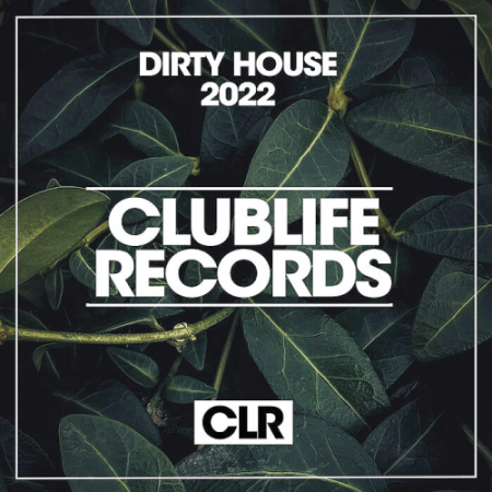 1ba08933 3829 47e9 a066 0b72b32ee46b - VA - Dirty House 2022 (2022)