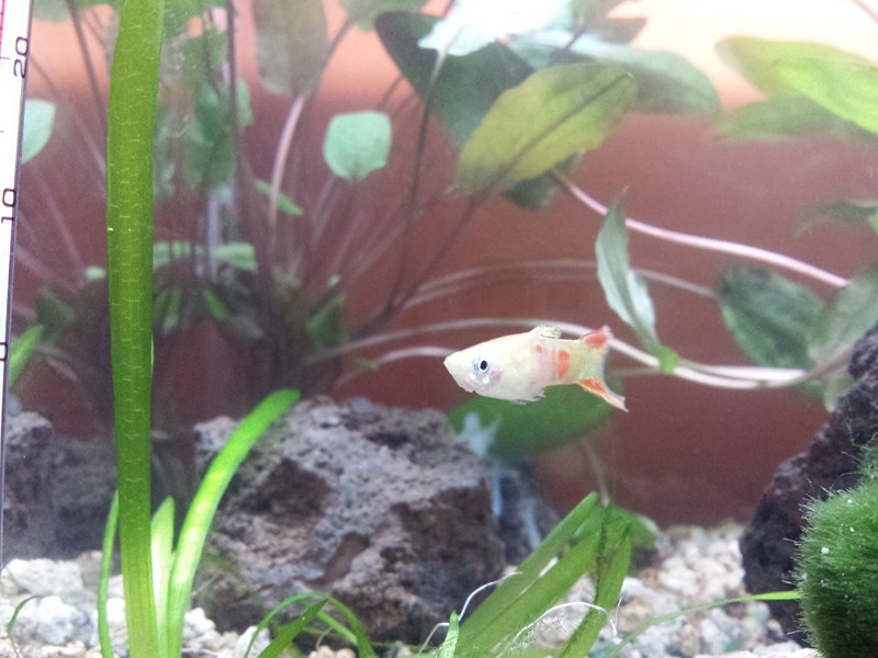 20130917_152438 (Copia)