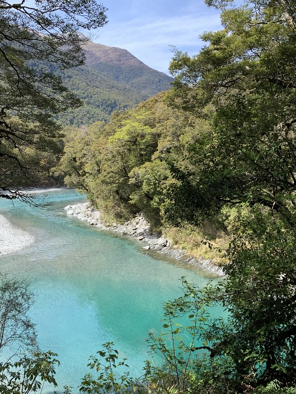 Nueva Zelanda: La primavera Kiwi nos fue marcando la ruta - Blogs de Nueva Zelanda - Haast-Wanaka-Arrowtown-Queenstown (1)