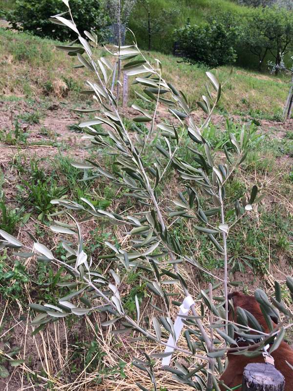 CEA079DD-7917-42D7-9DD8-3A4CACF4E84D