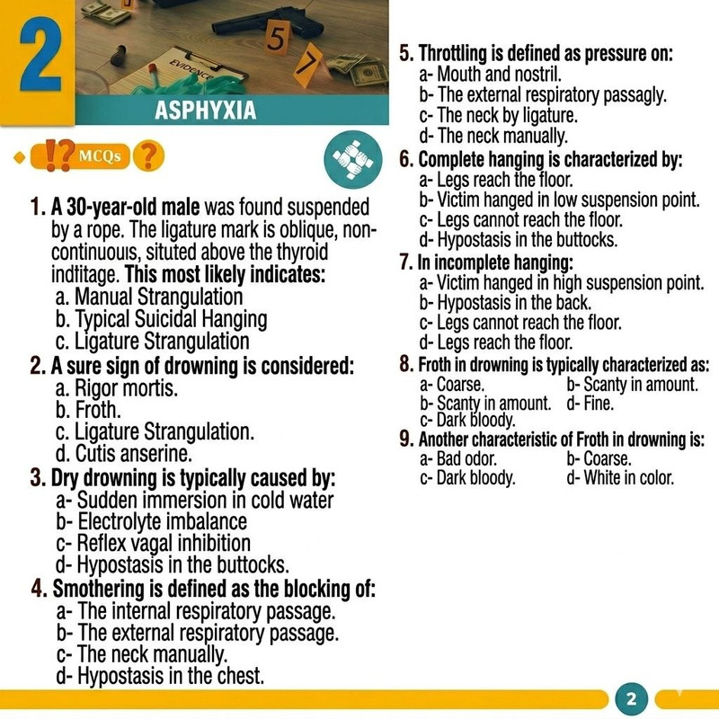 IMG 20260412 234547 372