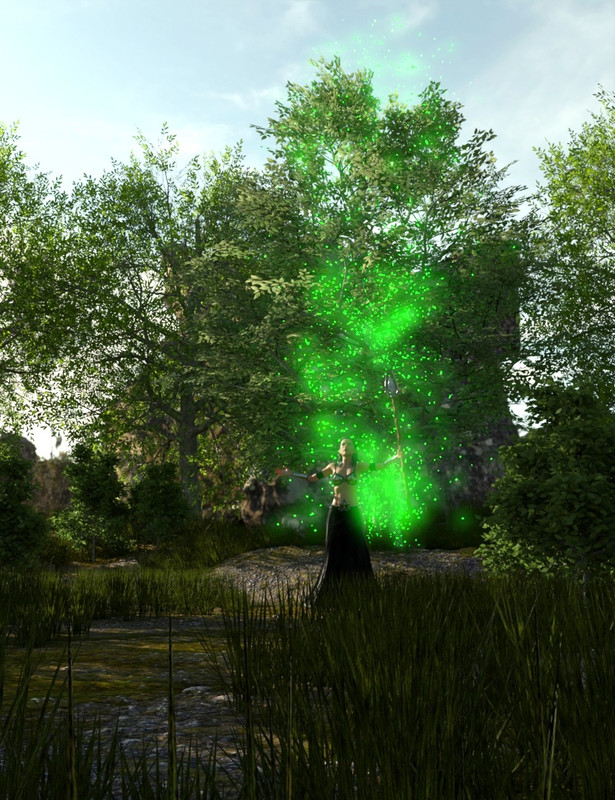 The Magical Tree The Magical Tree