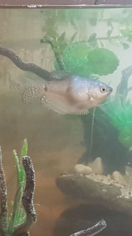 Screenshot_20220628-071348_Gallery