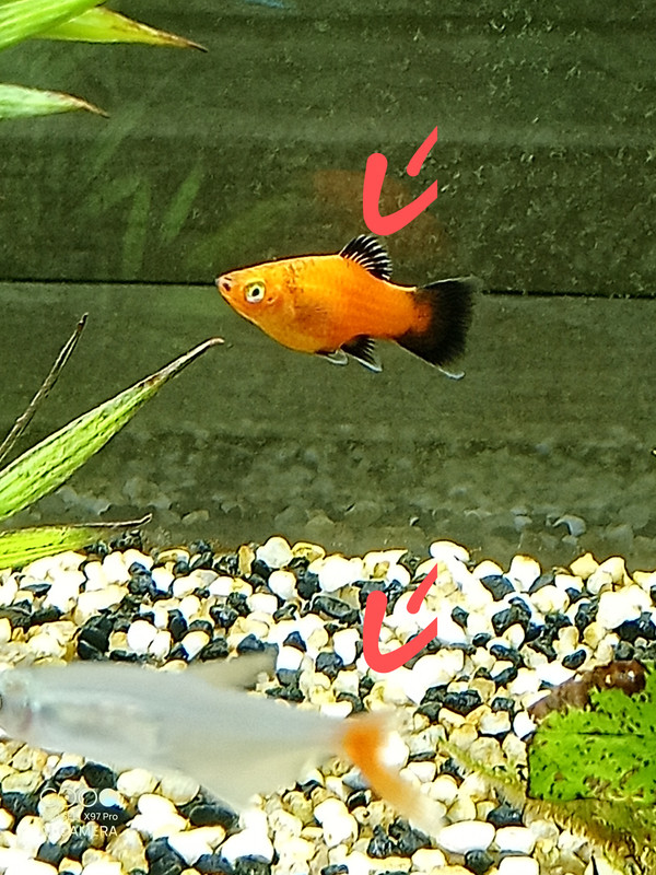 IMG_20240317_160423_494~2