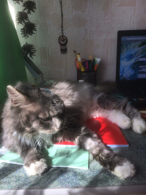 C9B44717-FFBB-4E21-9E2B-A0BB3CB22B79