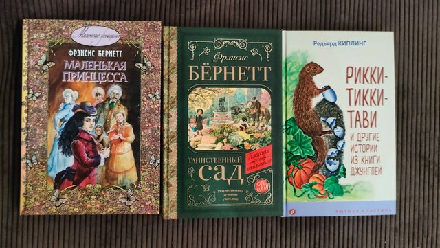 изображение_viber_2024-07-19_16-43-02-6503