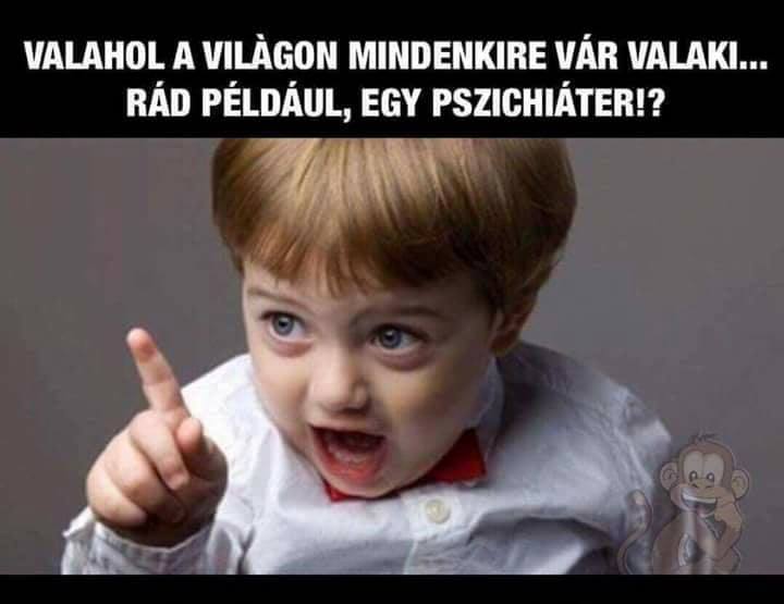 pszihi-ter.jpg
