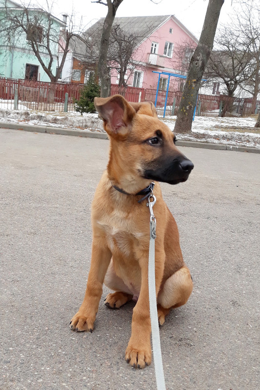 20190303_143753_001 ( изм ) 2222222222222