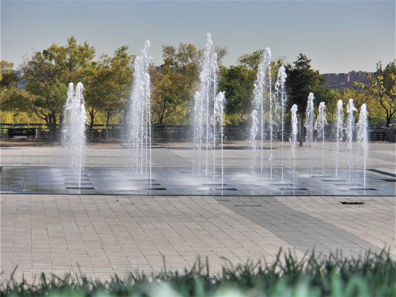 PARQUE JUAN CARLOS I-14-10-2011-MADRID - Paseando por España-1991/2016 (6)