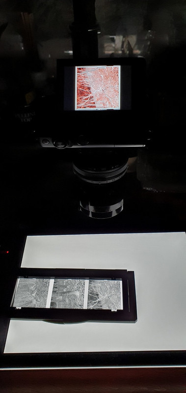 20220307_191926 (606x1280)