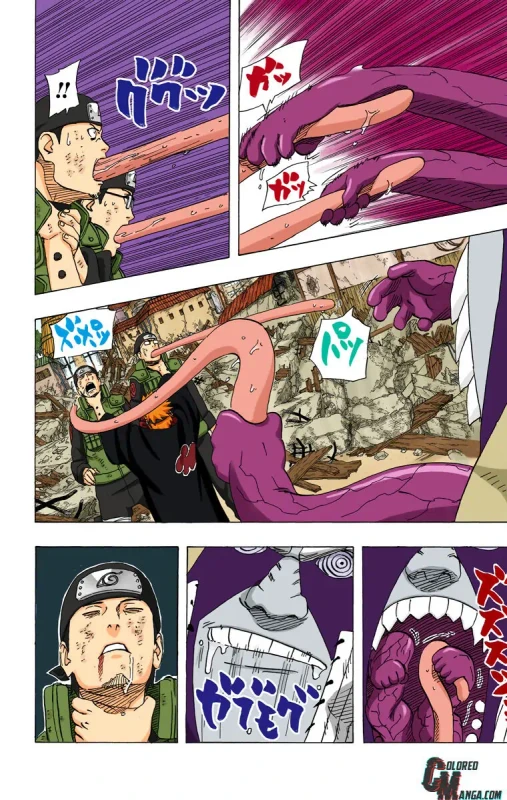 12357901 760 1200 177498