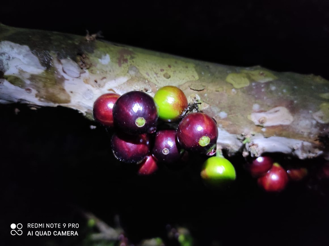 WhatsApp Image 2020-12-20 at 00.10.49 (34)