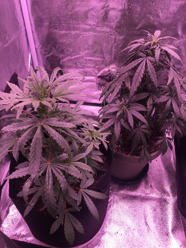 F9FA7B54-E223-4B5C-BCA2-A7A0F7D0123A