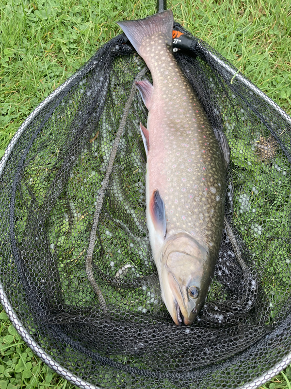 8974AB89-476C-4AF4-A61C-D9F2ACEEAD0E