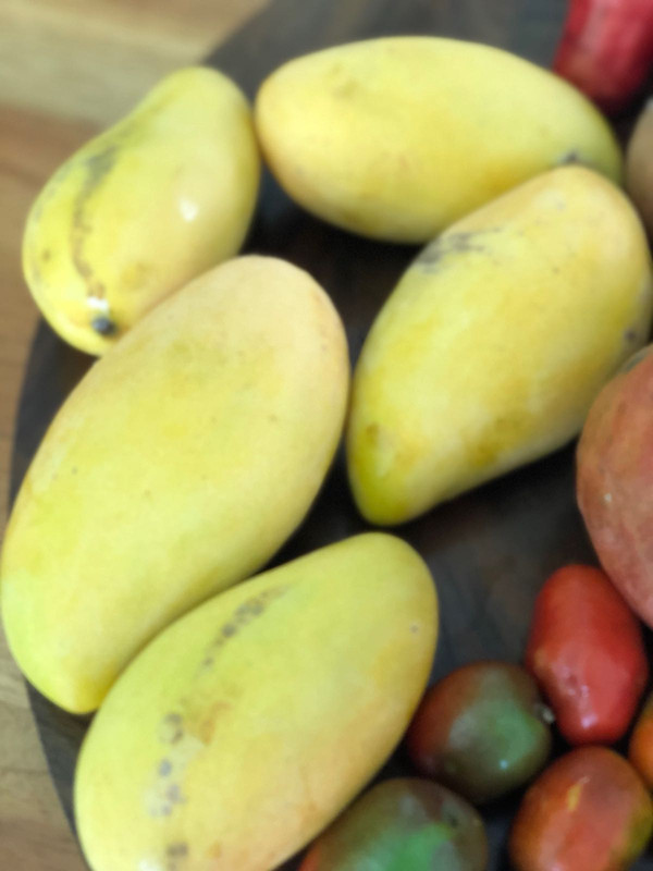 E3888612-20A4-4012-8AE1-26071FBD24E4