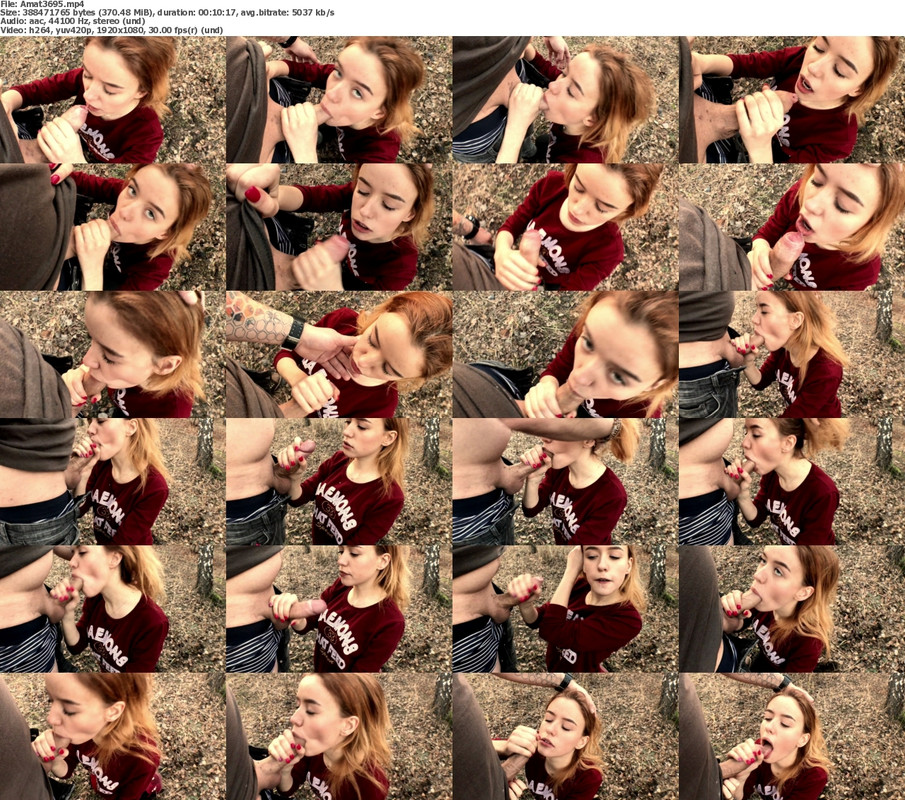 22082024130330screenshot