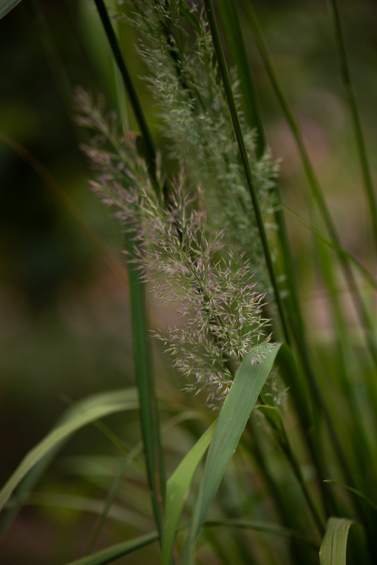 IMG-83601d680157e6f4d938615bfa05747a-V