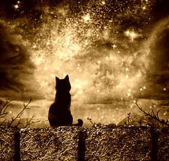 Cat-Bright-Gold-Sparkle