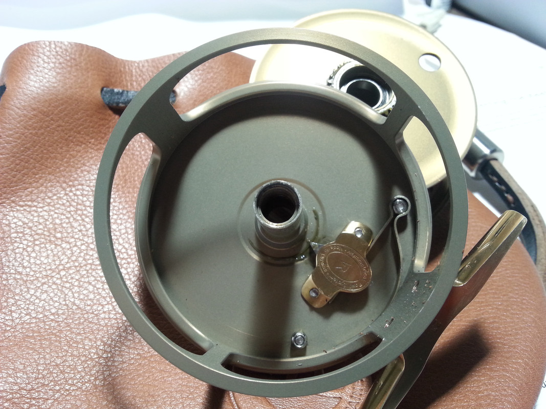 20210115_174646 trutta 1