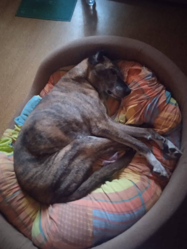 F668953A-9852-4D2A-A86F-7B360983BD63