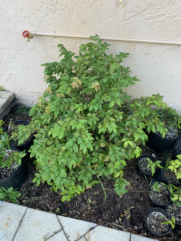 D7CE5F20-B89B-4485-9301-9E05B524EB6A