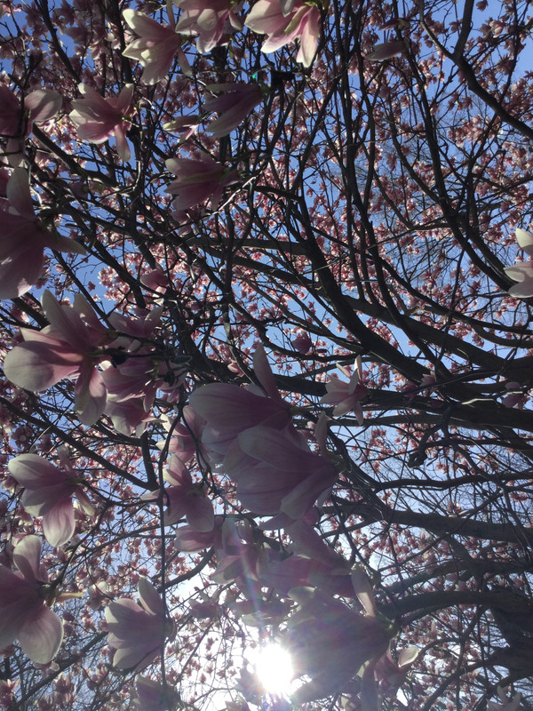 4B7D7839-FB0A-4403-AD71-5C1457EE86D1