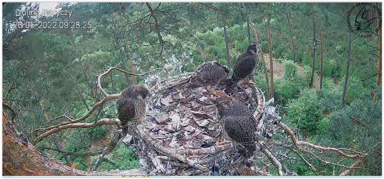 Screen Shot 05-26-22 at 08.54 PM 001