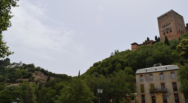 Córdoba y Granada en un verano atípico. - Blogs de España - Miércoles 8/07. Catedral, Capilla Real, Monumentos Andalusís y cena con vistas. (18)