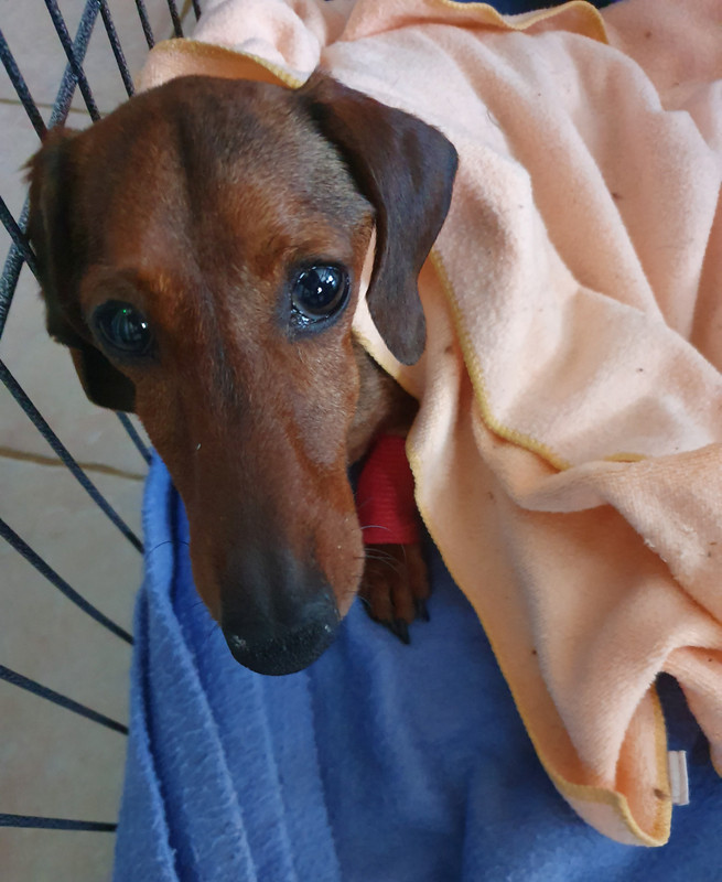 [Image: 20220724-205020.jpg]