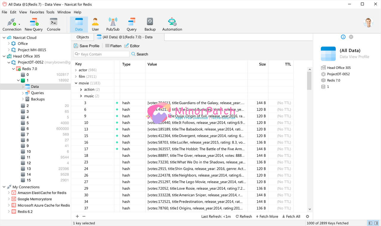 Navicat for Redis 16.3.7 Crack