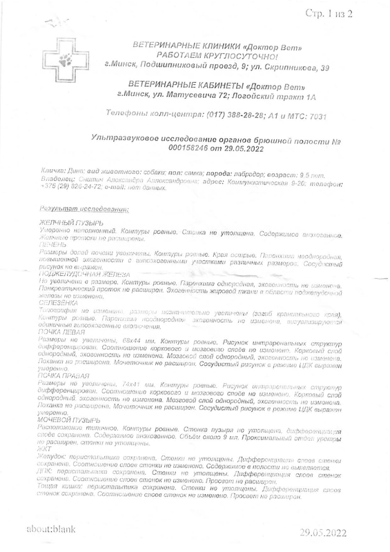 узи брюшной полости с пробным завтраком ребенку