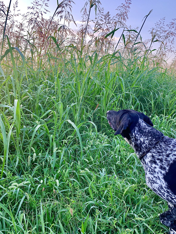 14285A8A-E79E-4EF8-86DB-E8206ED303E9