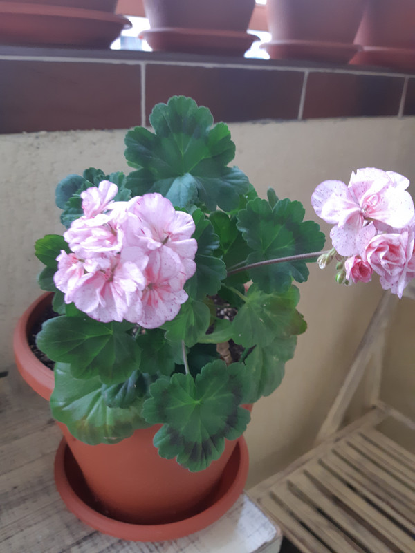 20191101_090400