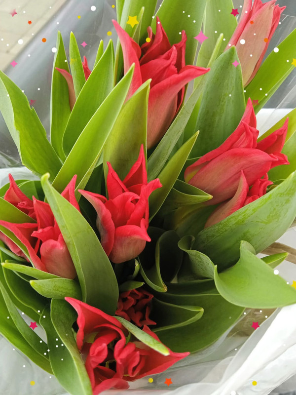 624822449-2760509394289844-2090566789771883588-n