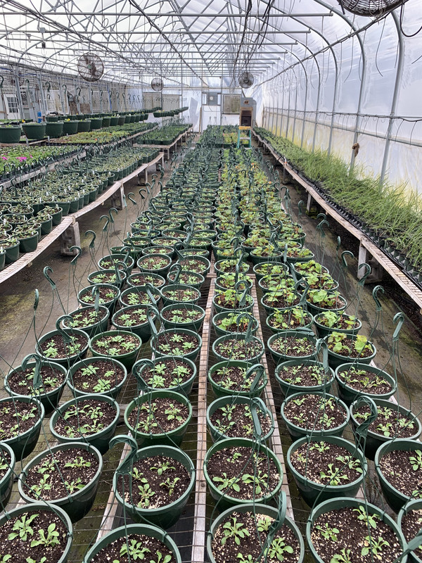 B5B969DD-E0AA-4961-B4F2-8D9AD09F6CDE