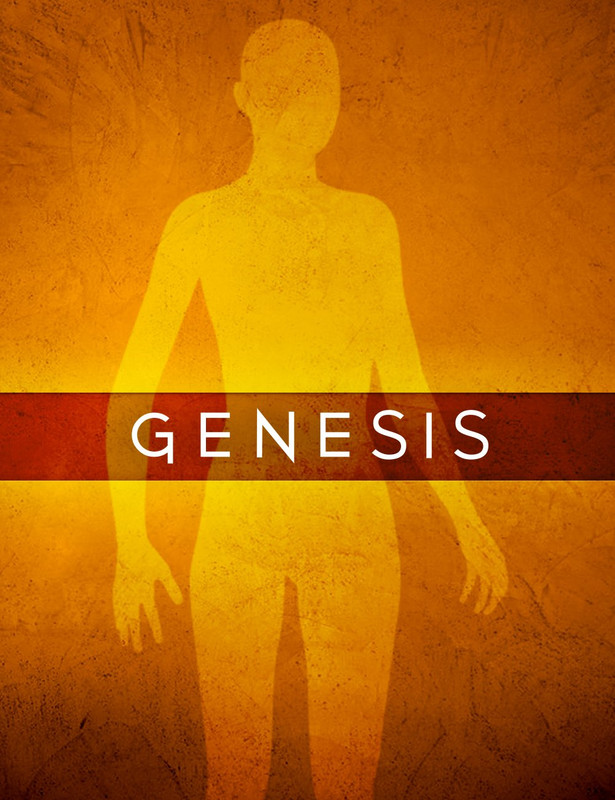 Genesis Starter Essentials